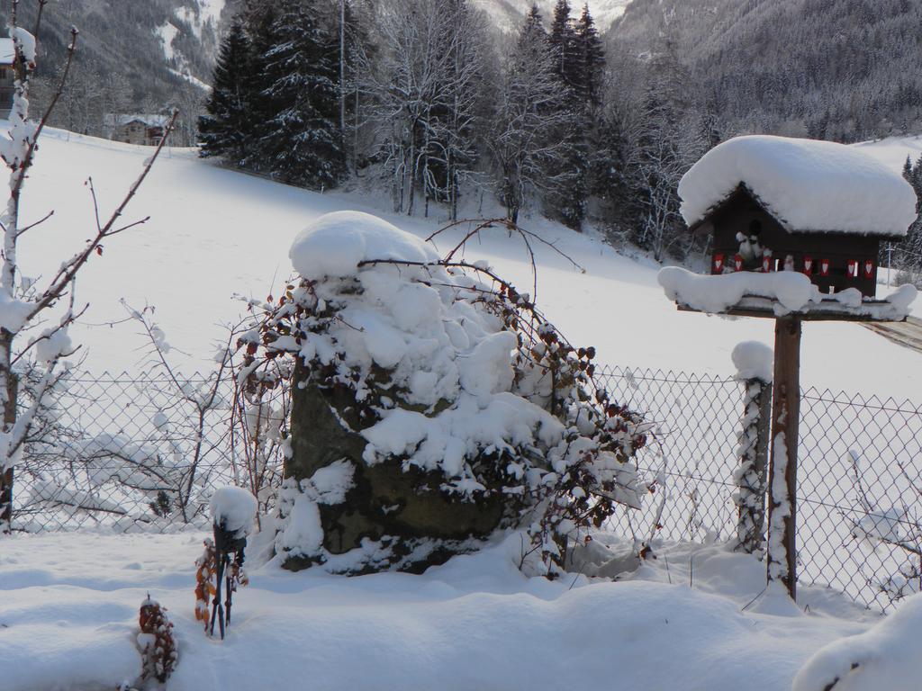 Arlerhof Διαμέρισμα Untertauern Εξωτερικό φωτογραφία