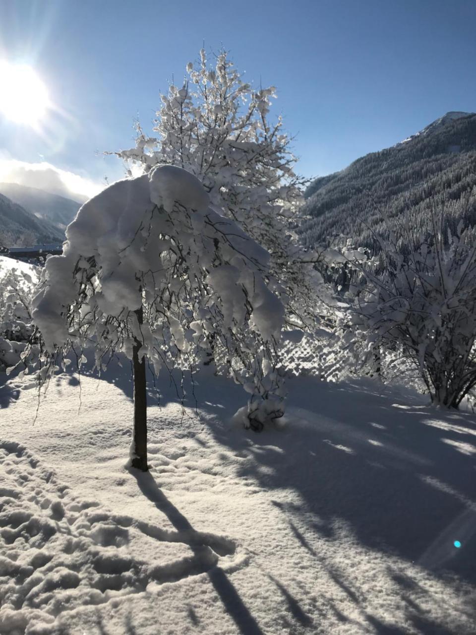 Arlerhof Διαμέρισμα Untertauern Εξωτερικό φωτογραφία